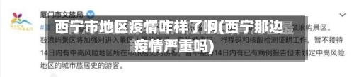 西宁市地区疫情咋样了啊(西宁那边疫情严重吗)-第2张图片