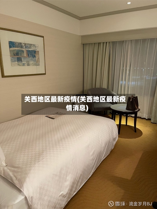 关西地区最新疫情(关西地区最新疫情消息)-第3张图片