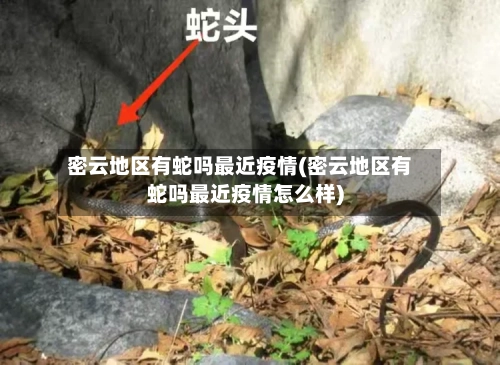 密云地区有蛇吗最近疫情(密云地区有蛇吗最近疫情怎么样)-第1张图片