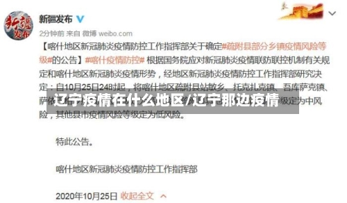 辽宁疫情在什么地区/辽宁那边疫情-第1张图片