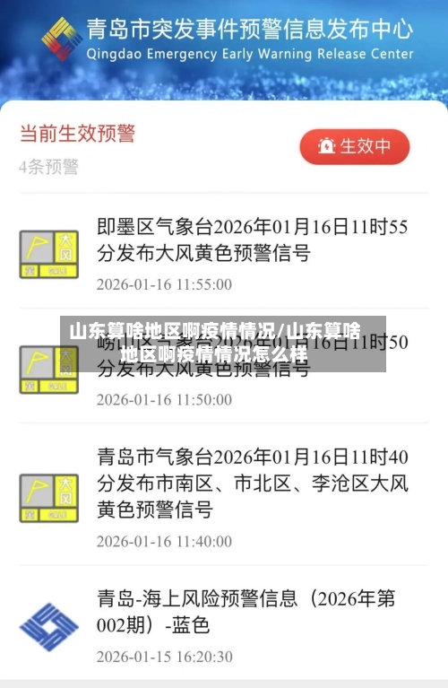 山东算啥地区啊疫情情况/山东算啥地区啊疫情情况怎么样-第2张图片