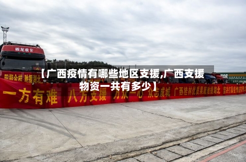 【广西疫情有哪些地区支援,广西支援物资一共有多少】-第3张图片