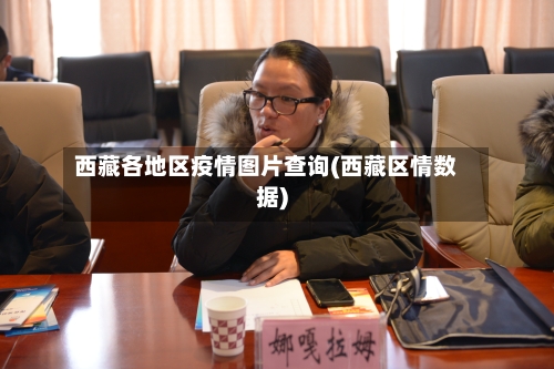 西藏各地区疫情图片查询(西藏区情数据)-第2张图片