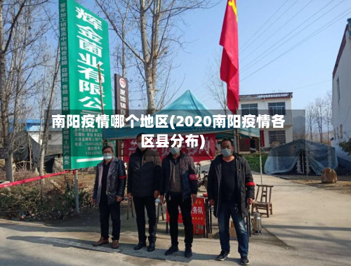 南阳疫情哪个地区(2020南阳疫情各区县分布)-第1张图片