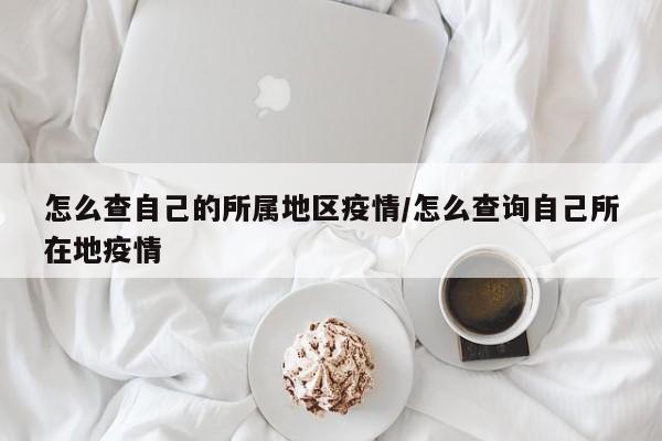 怎么查自己的所属地区疫情/怎么查询自己所在地疫情